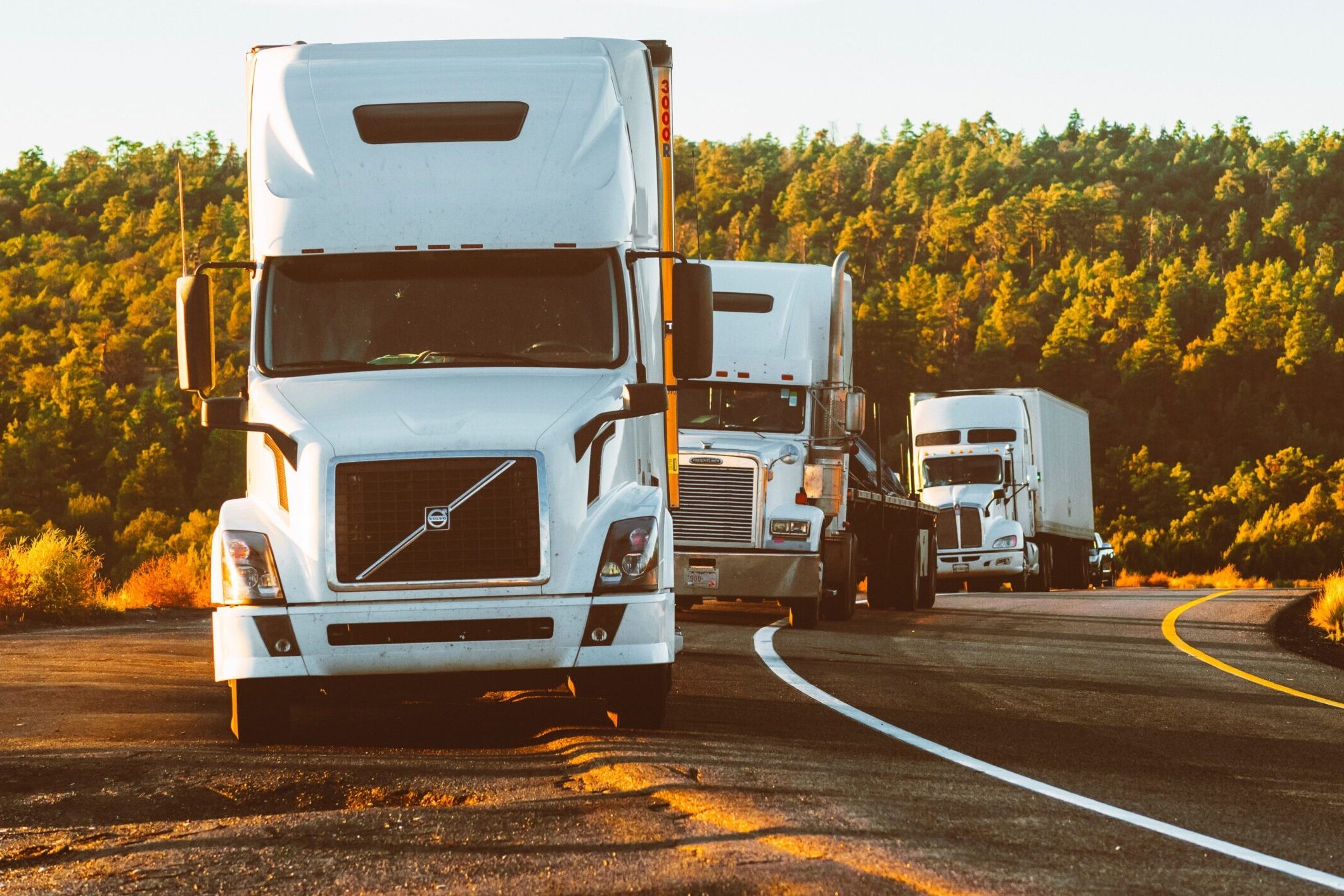 Fleet of Semi-Trucks