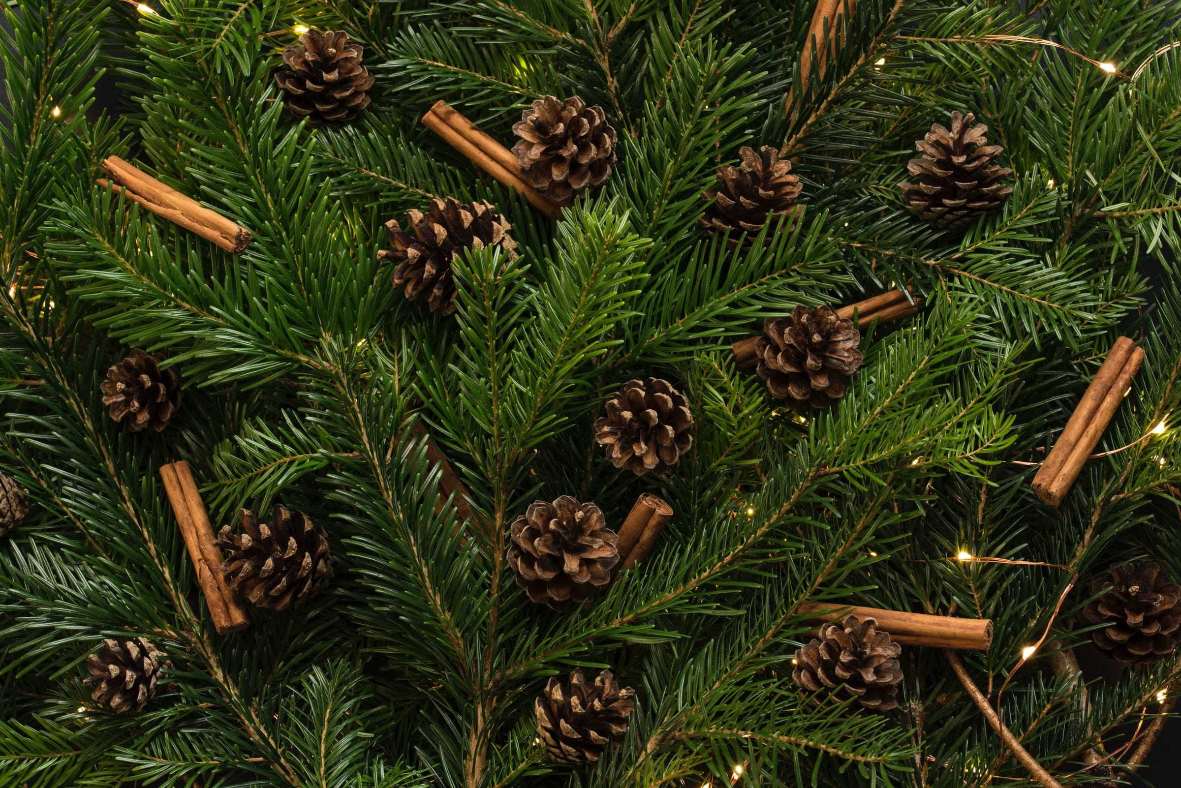 Holiday Tree & Pinecones